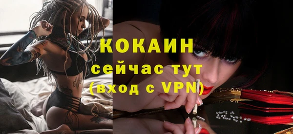 apvp Богданович
