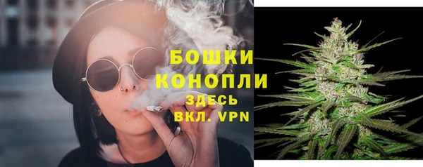 apvp Богданович