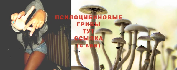 apvp Богданович
