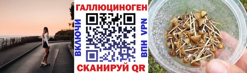 Псилоцибиновые грибы прущие грибы  где можно купить   Ильский 